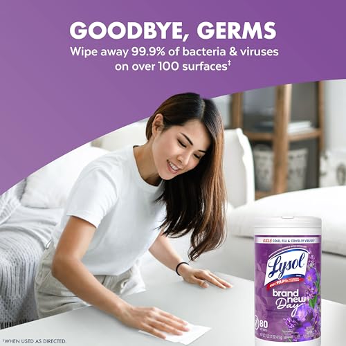 Lysol 80 Count (Pack of 4) / Mango + Lavender / 1 Disinfectant Wipes