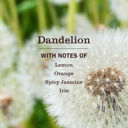Mrs. MEYER'S Tomato Vine + Dandelion + Fresh Cut Grass / 12.5 Fl Oz (Pack of 1) / 1 All-Purpose Cleaners