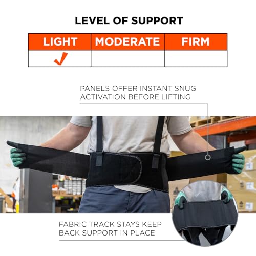 Ergodyne Black / X-Large (Pack of 1) / Elastic Back Support Brace Back Braces