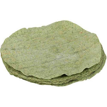 Shelf Stable Spinach Flavored Tortilla Wrap by Mexican Original – Commercial Grade