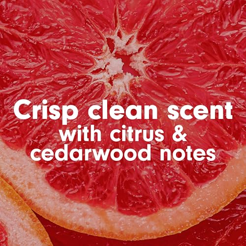 Softsoap Crisp Clean / 11.25 Fl Oz (Pack of 6) / 1 Hand Wash