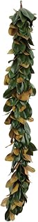 Napa Home & Garden 72" Magnolia Leaf Garland Green