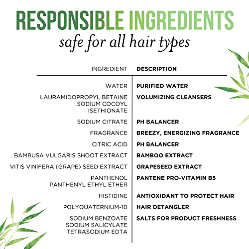 Pantene 9.6 Fl Oz (Pack of 2) / Bamboo / 2 Shampoos