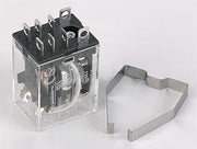 Raypak 009688F RELAY 24V