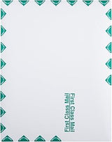 Quality Park 10 x 13 First Class Catalog Envelopes, First Class Border, Redi-Strip Self-Sealing Closure, 28 lb White Wove, 100 per Box (QUA44786)