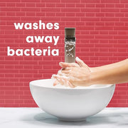 Softsoap 11.25 Fl Oz (Pack of 6) / Renewed / 6 Hand Wash