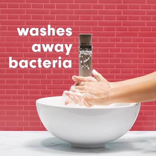 Softsoap 11.25 Fl Oz (Pack of 6) / Renewed / 6 Hand Wash
