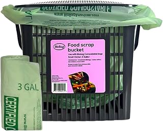 BioBag Countertop Kitchen Compost Bin & 25 Count 3-Gallon Certified Compostable Bags – BPI & ASTM D6400 Approved – Ventilated, Dishwasher-Safe Counter Scrap Bin