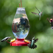 Hummingbird 32 oz. Plastic Nectar Feeder by Perky-Pet – One Size, Plastic, As Shown, Model 8040665