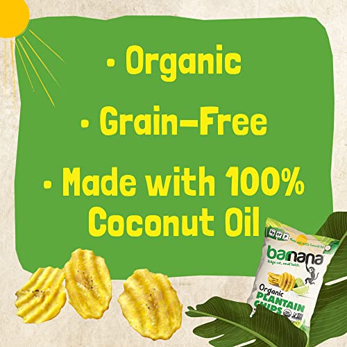 Barnana Acapulco Lime / 5 Ounce (Pack of 6) / Natural Dried Banana Chips