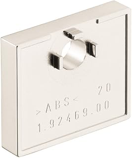 hansgrohe 28697820 Raindance Tile Matching Disk, Brushed Nickel