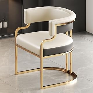 Home Living Room Dinning Chair Designer Lounge Dining Chairs Bedroom Kitchen Mesa De Jan Decoration