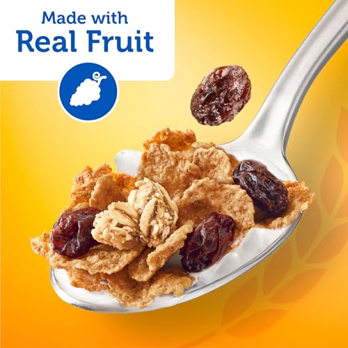 Kellogg's Raisin Bran 2.8 Ounce (Pack of 24) / 12 / 24 Cold Cereal
