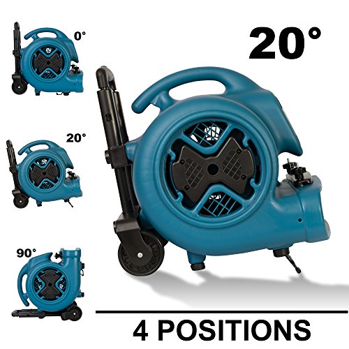 XPOWER Medium / Pro P-630HC / Blue Carpet & Upholstery Cleaners & Accessories