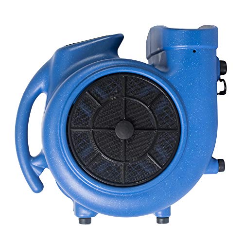 XPOWER Medium / Pro X-800TF / Blue Floor Fans