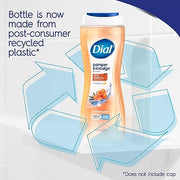 Dial 16 Fl Oz (Pack of 1) / 1 Body Washes