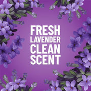 Pine-Sol Lavender / 12 Count (Pack of 1) / 1 All-Purpose Cleaners