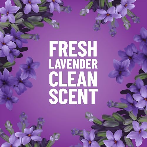 Pine-Sol Lavender / 12 Count (Pack of 1) / 1 All-Purpose Cleaners