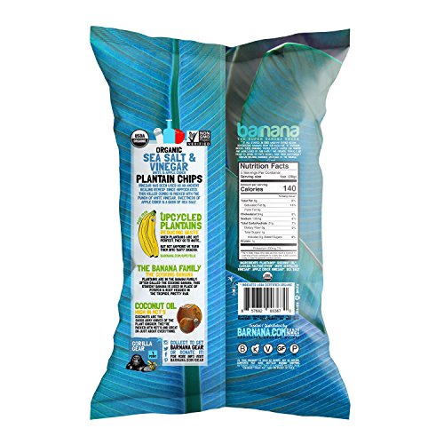 Barnana Sea Salt & Vinegar / 25 Ounce (Pack of 1) / 1 Dried Banana Chips
