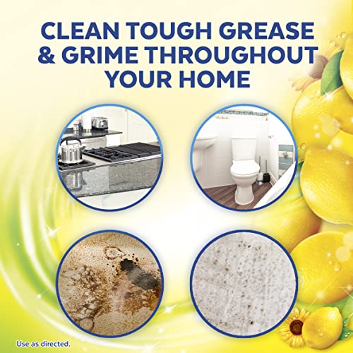 Lysol 90 Fl Oz (Pack of 1) / Lemon & Sunflower / 1 All-Purpose Cleaners