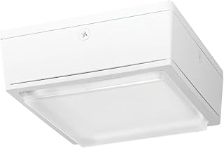 RAB Lighting RAB LED Canopy Light w/ Drop Lens - 75 Watts, 5000K, 120-277 Volts (White)