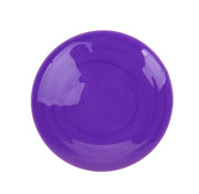 Crayola Violet / 1 / 16 Fl Oz (Pack of 1) Tempera & Poster Paint