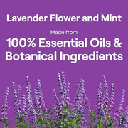 Seventh Generation Lavender / 50 Fl Oz (Pack of 3) / Lavender Refill Dish Soap