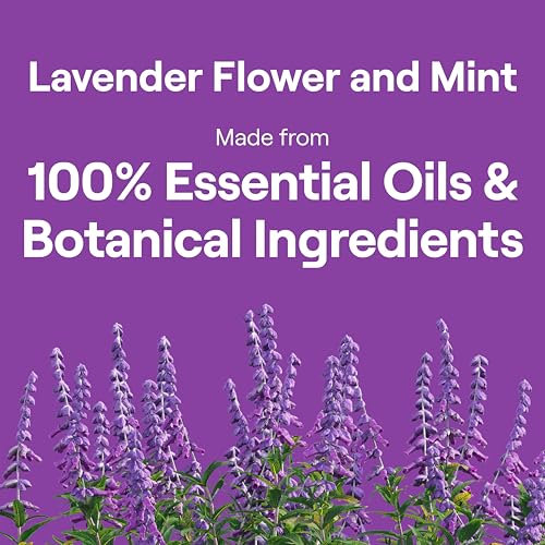 Seventh Generation Lavender / 50 Fl Oz (Pack of 3) / Lavender Refill Dish Soap