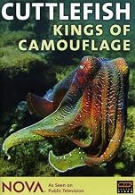NOVA: Cuttlefish - Kings of Camouflage