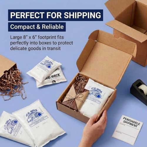 BOX USA 12-Pack Medium 8x6 / White / Classic Lunch Boxes