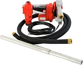 DuroStar DSTP20 12-Volt 20-GPM Cast Iron Diesel Fuel Transfer Pump