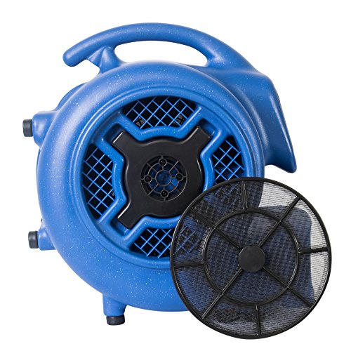 XPOWER Medium / Pro X-800TF / Blue Floor Fans