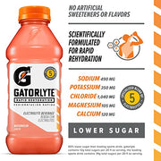 Gatorade Watermelon / 20 Fl Oz (Pack of 1) / 1 Sports Drinks