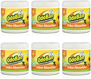 OdoBan Solid Odor Absorber Eliminator for Home and Small Spaces, Citrus Scent, 14 Ounces Each, 6-Pack