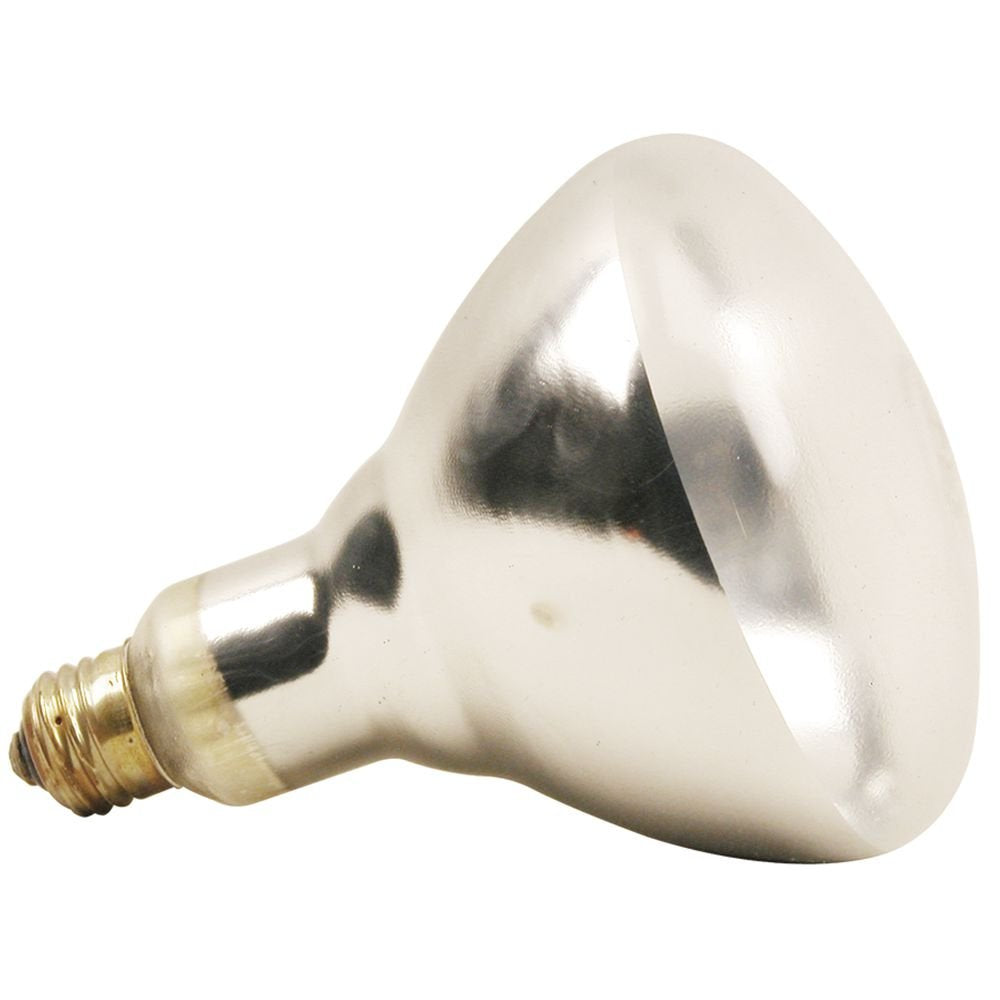 Franklin Machine Products Clear Coated Infrared Heat Bulb by FMP – brass, Model 253-1118