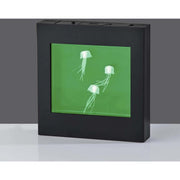 Jellyfish Motion Light Box by SIMPLEE ADESSO – Plastic, Black, Model SL3723-01