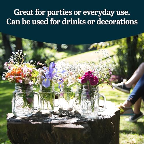 Libbey Standard Packaging / 1 / 12 Count (Pack of 1) Drinking Jars