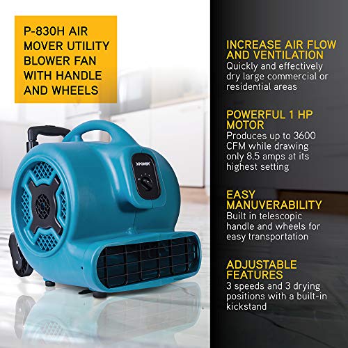 XPOWER 15.9" x 18.7" x 18.7" / Pro P-830H / Blue Air Dryers, Blowers & Blades