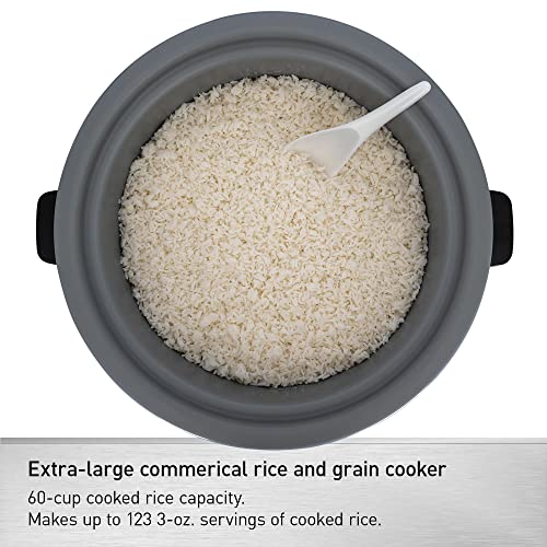 Panasonic 30 Cup / 120V / Cooker Commercial Rice Cookers