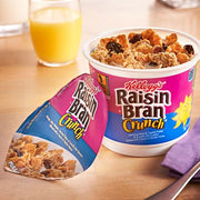 Kellogg's Raisin Bran 2.8 Ounce (Pack of 24) / 12 / 24 Cold Cereal