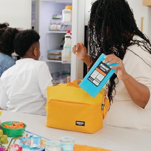 Igloo Medium / 0.0 liters / 1 Cooler Accessories