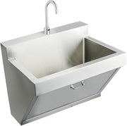 Elkay EWSF13026SACC - SURGEON SINK PACKAGE