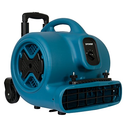 XPOWER Medium / Pro P-630HC / Blue Carpet & Upholstery Cleaners & Accessories