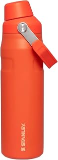 STANLEY IceFlow™ Bottle with Fast Flow Lid | 24 OZ, Tigerlily