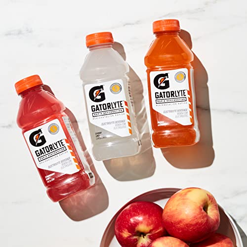 Gatorade Watermelon / 20 Fl Oz (Pack of 1) / 1 Sports Drinks