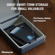 SentrySafe Black / 0.05 cubic feet / Key Lock Security Lock Boxes