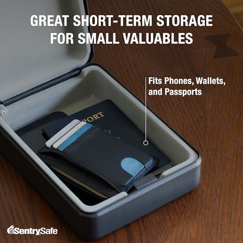 SentrySafe Black / 0.05 cubic feet / Key Lock Security Lock Boxes