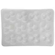 Culinary Puree Polypropylene 17 x 11" Mold by HUBERT – 17.0 liters, Plastic, White, Model APRICOT HALVES