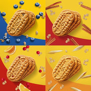Belvita Basic / Variety / 8.8 Ounce (Pack of 6) Breads & Bakery