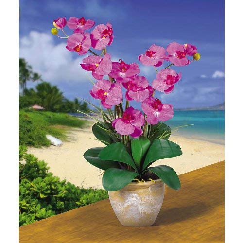 Double Stem Phalaenopsis Silk Orchid Arrangement by Nearly Natural – 29 in x 10.25 in x 10.25 in, Polyester material, plastic, ceramic, Orchid, Model 1026-OR
